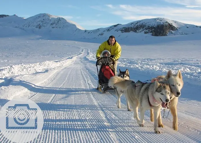 Boutique Panorama 3* Crans-Montana