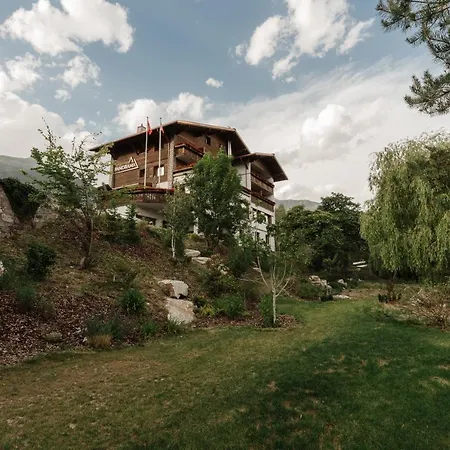 Boutique Panorama 3* Crans-Montana